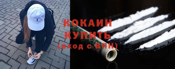 спайс Нея