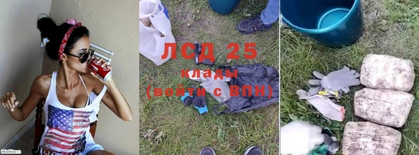 спайс Нея