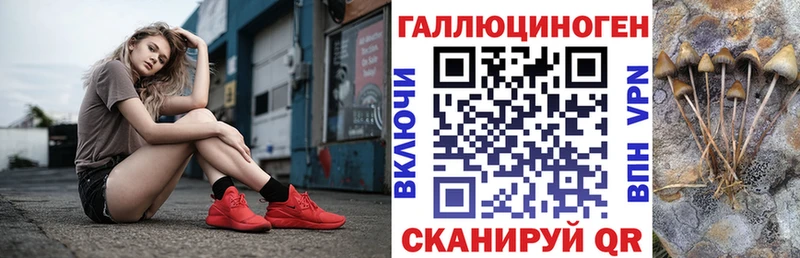 Купить  Трёхгорный  Псилоцибиновые грибы Cubensis 